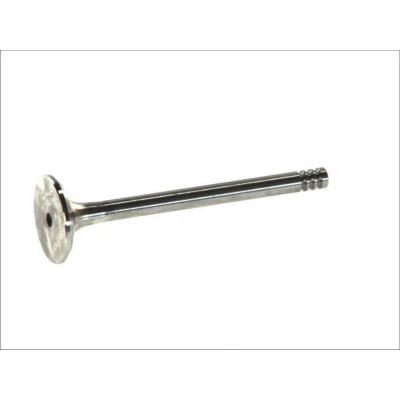 Imagem de FRECCIA R4805/R Válvula de Escape 29 SKODA: Octavia I Hatchback, SEAT: Ibiza 2, Arosa, VOLKSWAGEN: GOLF 3, Vento