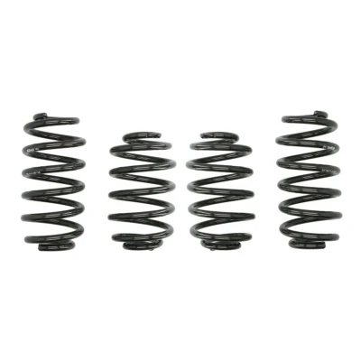 Imagem de EIBACH Pro Kit E10 85 002 09 22 de suspensão, molas VOLKSWAGEN: Passat B5 GP Variant