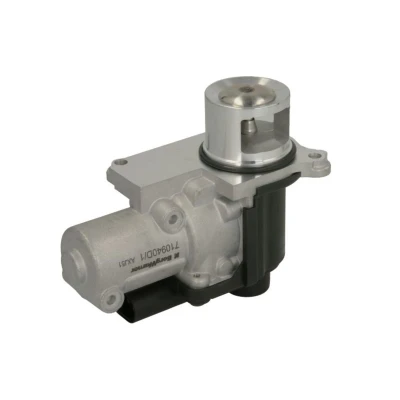 Imagem de WAHLER 710940D/1 Válvula EGR elétrico com juntas VOLKSWAGEN: Golf 5, Tiguan I, Passat B6 Sedan, AUDI: A3 Sportback, Hatchback, A4 B8 Sedan
