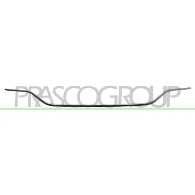 Imagem de Friso, pára choques PRASCO ME3331255