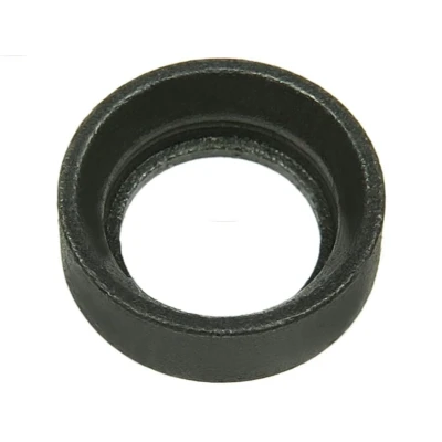 Imagem de AS PL SRS0172S Kit de reparação, motor arranque