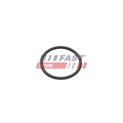 Imagem de FAST FT50401 Coletor de Admissão OPEL: Corsa D Hatchback, Combo C Van / Carrinha, FIAT: Grande Punto Hatchback