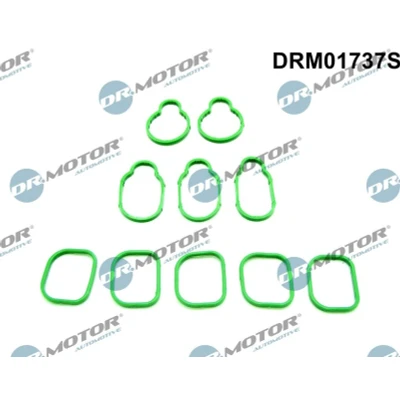 Imagem de DR.MOTOR AUTOMOTIVE DRM01737S Jogo de juntas, colector admissão VOLKSWAGEN: Golf 4