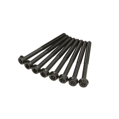 Imagem de REINZ 14 32106 01 Jogo de Parafusos da Cabeçote Torx interior MERCEDES BENZ: Classe E Sedan, C T modell