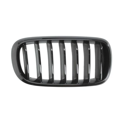 Imagem de PRASCO BM8272003 Grelha de Radiador à direita liso preto BMW: X5