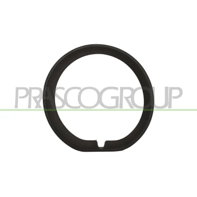 Imagem de PRASCO MN7041239 Friso, pára choques à frente, lado direito