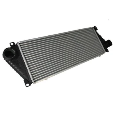 Imagem de THERMOTEC DAM001TT Intercooler Alumínio, Plástico 717 X 255 35 mm MERCEDES BENZ: Sprinter 4 T Camião de plataforma/Chassis, 2 Van