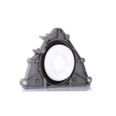 Imagem de REINZ 81 90033 00 Retentor de Cambota com estrutura suporte BMW: 3 Coupe, X6, 5 Sedan