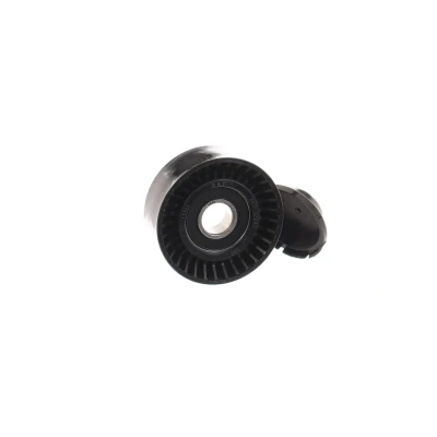 Imagem de SKF VKM 32243 Polia de Desvio FIAT: BRAVO 1, Stilo Hatchback, Palio I Weekend