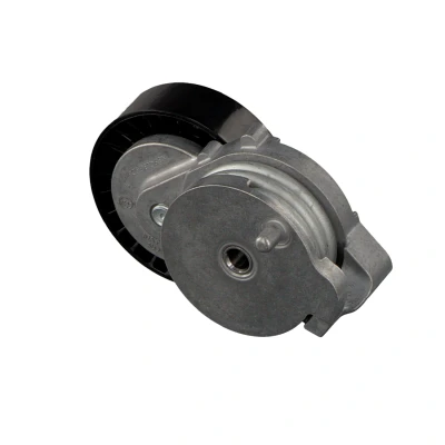 Imagem de FEBI BILSTEIN 30146 Tensor da Correia VOLVO: XC60 I