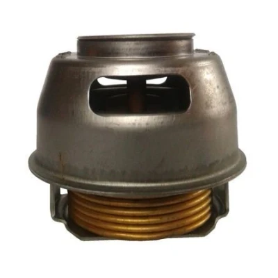 Imagem de THERMOTEC D2UR003TT Termóstato, líquido de refrigeração 78 sem caixa