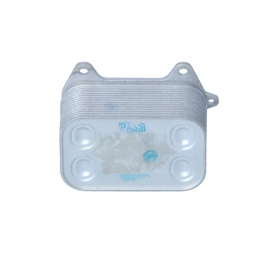Imagem de NRF 31263 Radiador de Óleo com juntas EASY FIT VOLKSWAGEN: Passat B6 Sedan, Polo V Hatchback, Caddy 3, SEAT: Ibiza 4 Sportcoupe, Leon II Hatchback