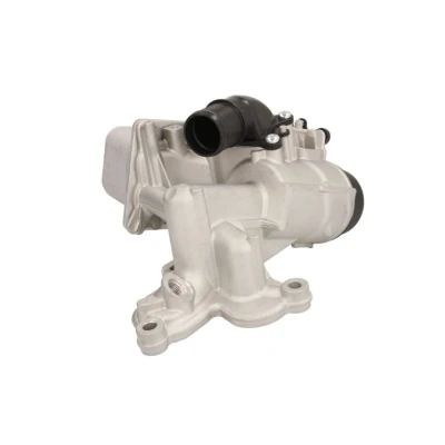 Imagem de THERMOTEC D4R009TT Radiador de Óleo RENAULT: MEGANE 2 Kombi, SCENIC 2, 3, NISSAN: Qashqai / Qashqai+2 I