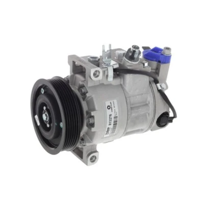 Imagem de VALEO 813276 compressor 6SEU 12 PAG 46 R 134a com óleo de AUDI: A4 B8 Avant, A6 C7 A5 Coupe