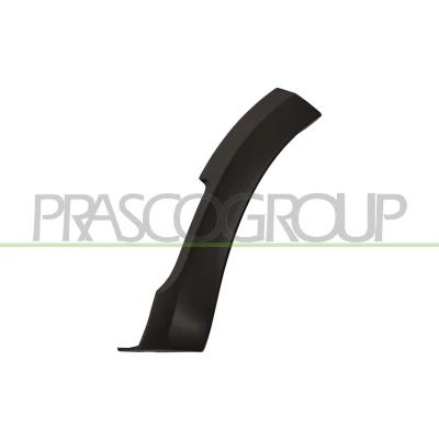 Imagem de PRASCO DA2261572 Friso, guarda lamas à frente, lado esquerdo DACIA: SANDERO 2