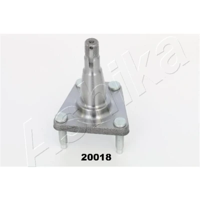 Imagem de ASHIKA 44 20018 Cubo da Roda Eixo traseiro DAEWOO: Lanos Hatchback